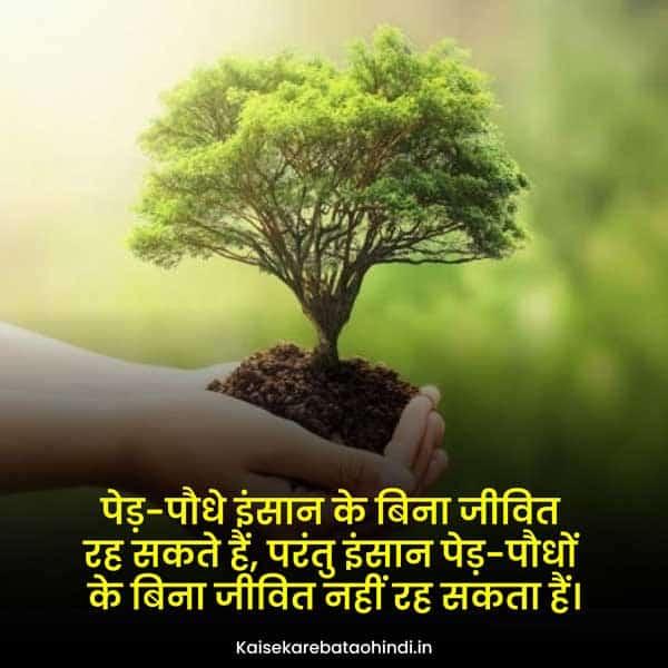 Nature Love Captions for Instagram in Hindi