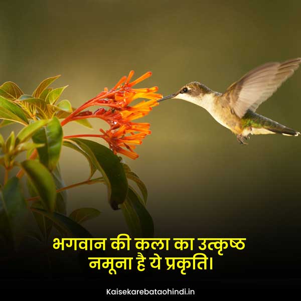 Short Nature Love Captions for Instagram in Hindi
